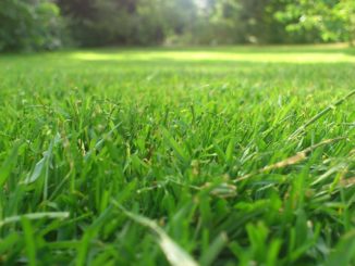 Rasenmäher mit Mähbalken