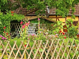 Bauerngarten anlegen