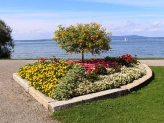 Beeteinfassung-fuer-den-Garten