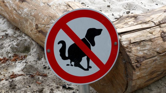 Hundekotsammler-geraet-lohnt-sich
