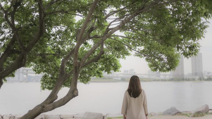 Bei dem Honigbaum handelt es sich um eine Pflanzenart