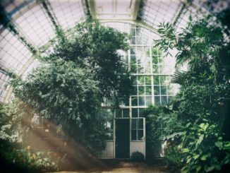 Gewächshaus mit Klarglas