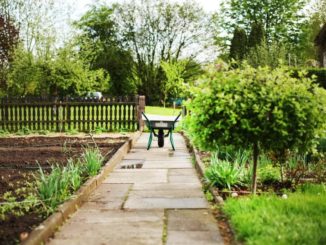 Kleingarten – Welche Gesetze gibt es?