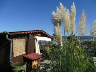 Regentonnen-Bewaesserung