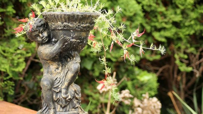 Blumenregal hoch dank eines Blumentopfs