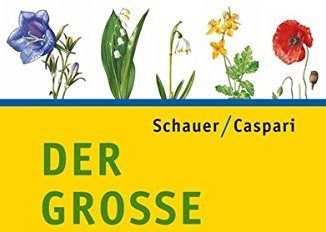 blv-pflanzenfuehrer-unterwegs-buch-bild1