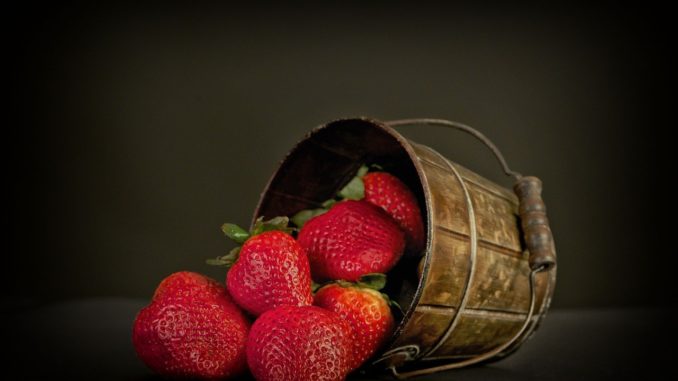 erdbeeren-im-topf-ueberwintern