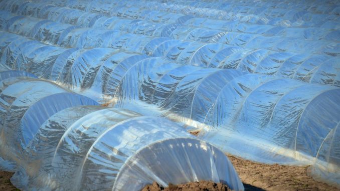 folie-wasserdicht-gewaechshaus