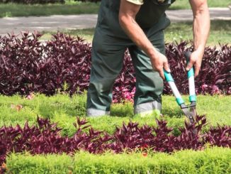 gartenschuerze-im-vergleich