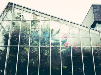 Beschattungsnetz für Gewächshaus