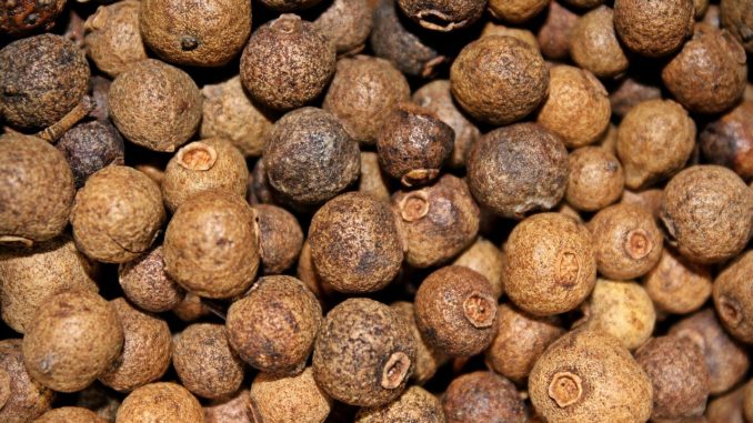 gewuerzkoerner-kaufen gewuerzkoerner-kaufen