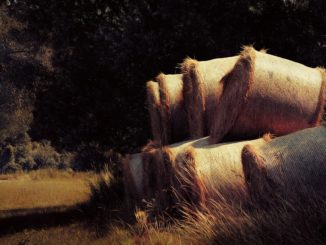 heuballen-gewicht-bild