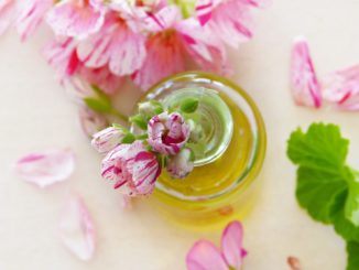 leinoel-gartenmoebel-anwendung