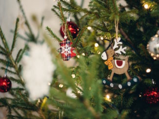 saatgut-adventskalender